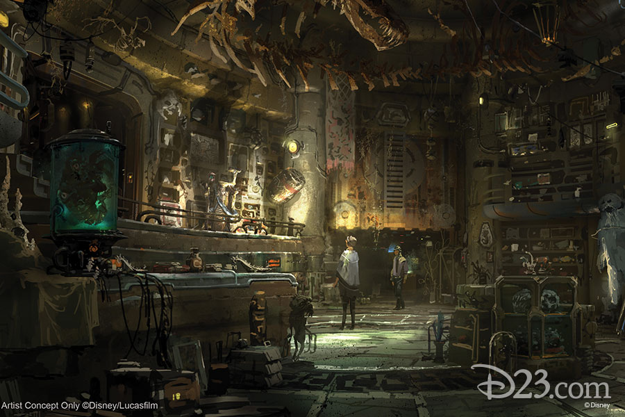 Concept art for Dok-Ondar’s Den of Antiquities a room with Star Wars memorabilia and stuffed creatures.