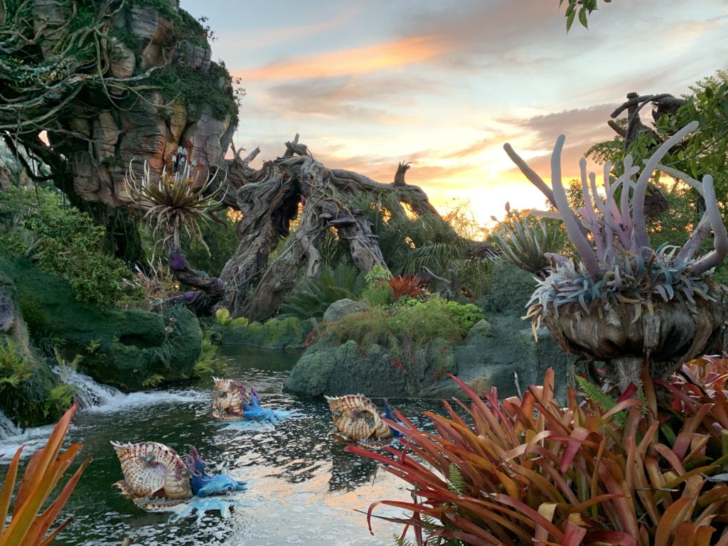 Sunset in the world of Pandora in Disney’s Animal Kingdom.  