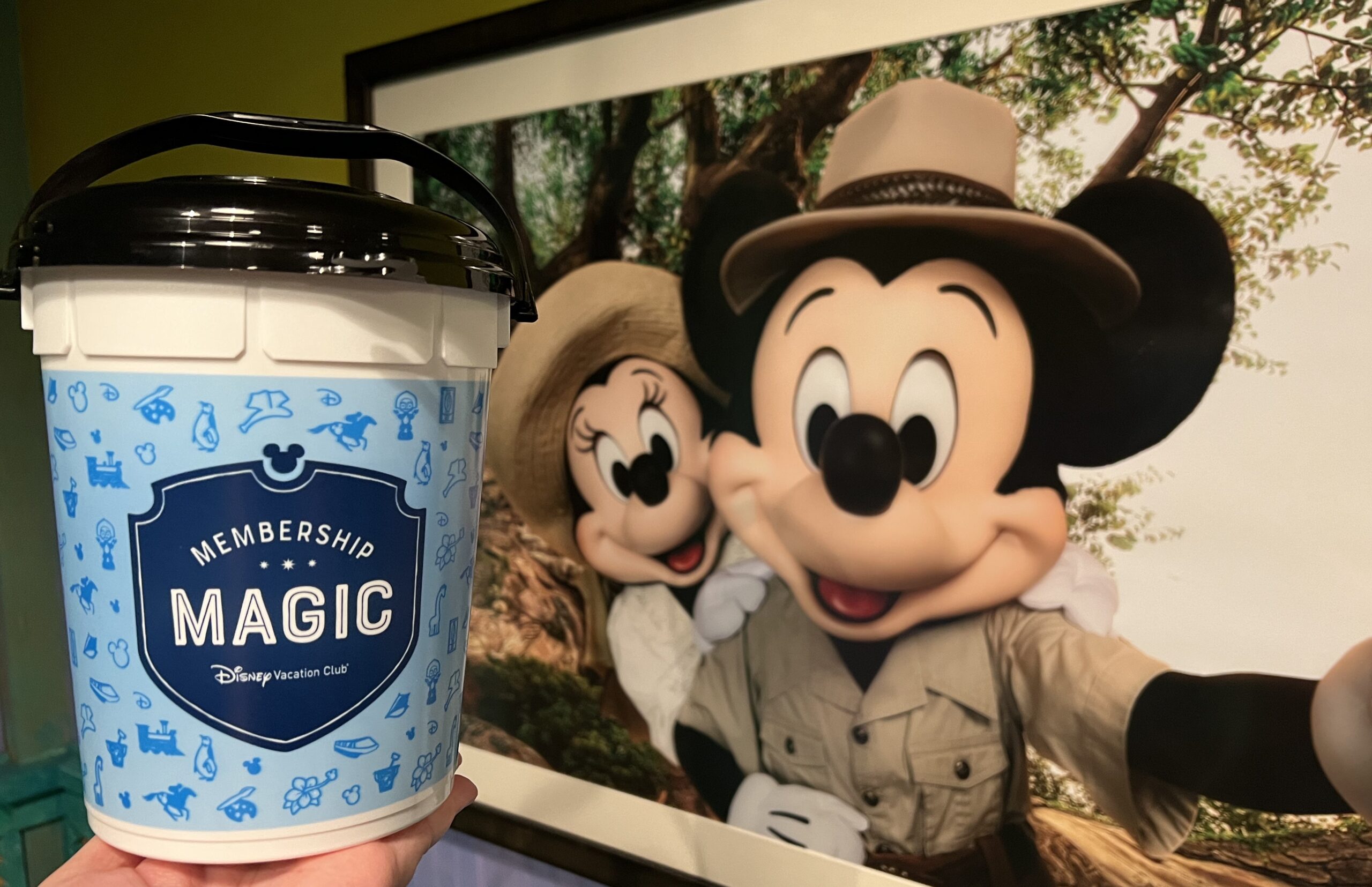 Disney Vacation Club Implemented a 2024 Moonlight Magic Policy Change